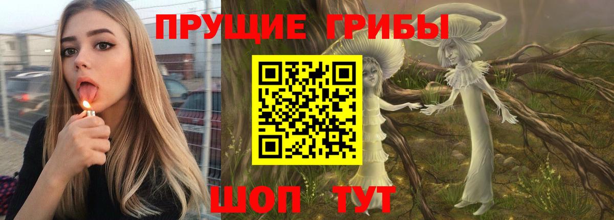 Каменск-Шахтинский  Псилоцибиновые грибы мицелий  Вход с VPN 